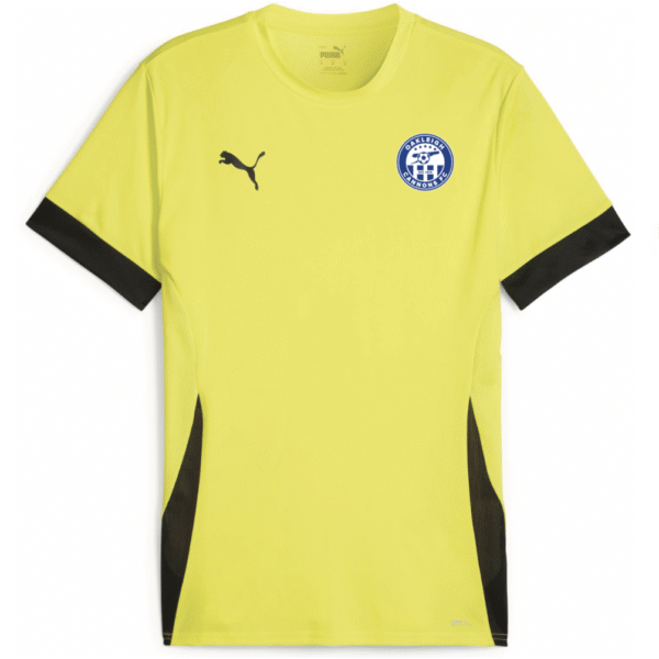Training Jersey - GK - TeamGOAL Matchday Fluro Yellow